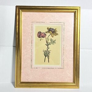 Vintage N. Robert Artist Signed Botanical Art